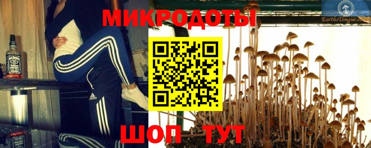 наркота  Галлюциногенные грибы MAGIC MUSHROOMS  Зерноград  Вход с VPN  Галлюциногенные грибы MAGIC MUSHROOMS 